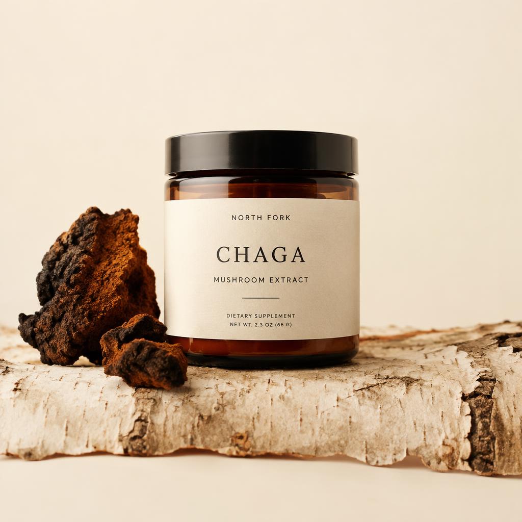 Ciupercă Chaga din Flora Spontană
